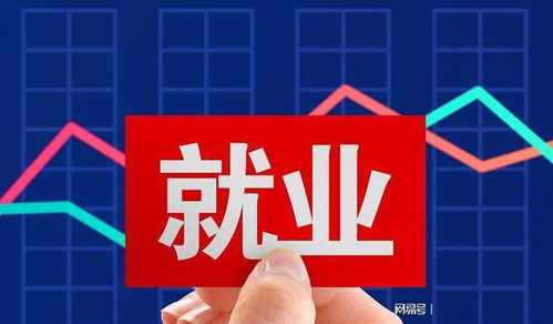高學歷就業困局與破局之道 職業技能培訓的調節作用
