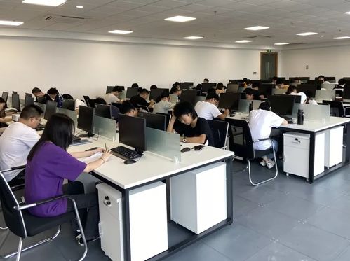 湄洲灣職業(yè)技術學院東軟現(xiàn)代產(chǎn)業(yè)學院非學歷職業(yè)技能培訓招生簡章